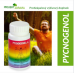 Pycnogenol plus